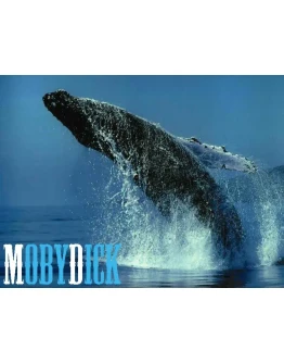 Советник MobyDick V2.5 NEW (480 за ноябрь по EURUSD)