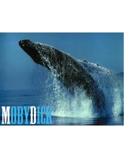 Советник MobyDick V2.5 NEW (480 за ноябрь по EURUSD)