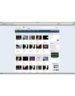 Клон Youtube. ClipSharePRO 4.15