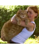 книга рекордов Гиннеса 2009