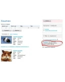 Скрипт для UMI-CMS по добавлению суммы доставки в заказ