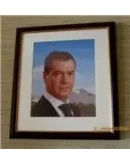 Портрет Дмитрия Медведева на фоне Кремля