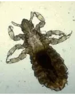 Методические рекомендации 